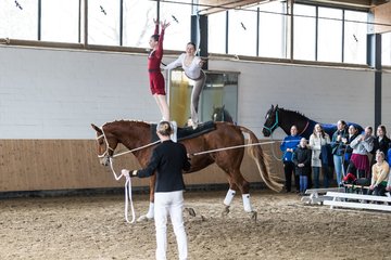 Bild 520 - Voltigierturnier
